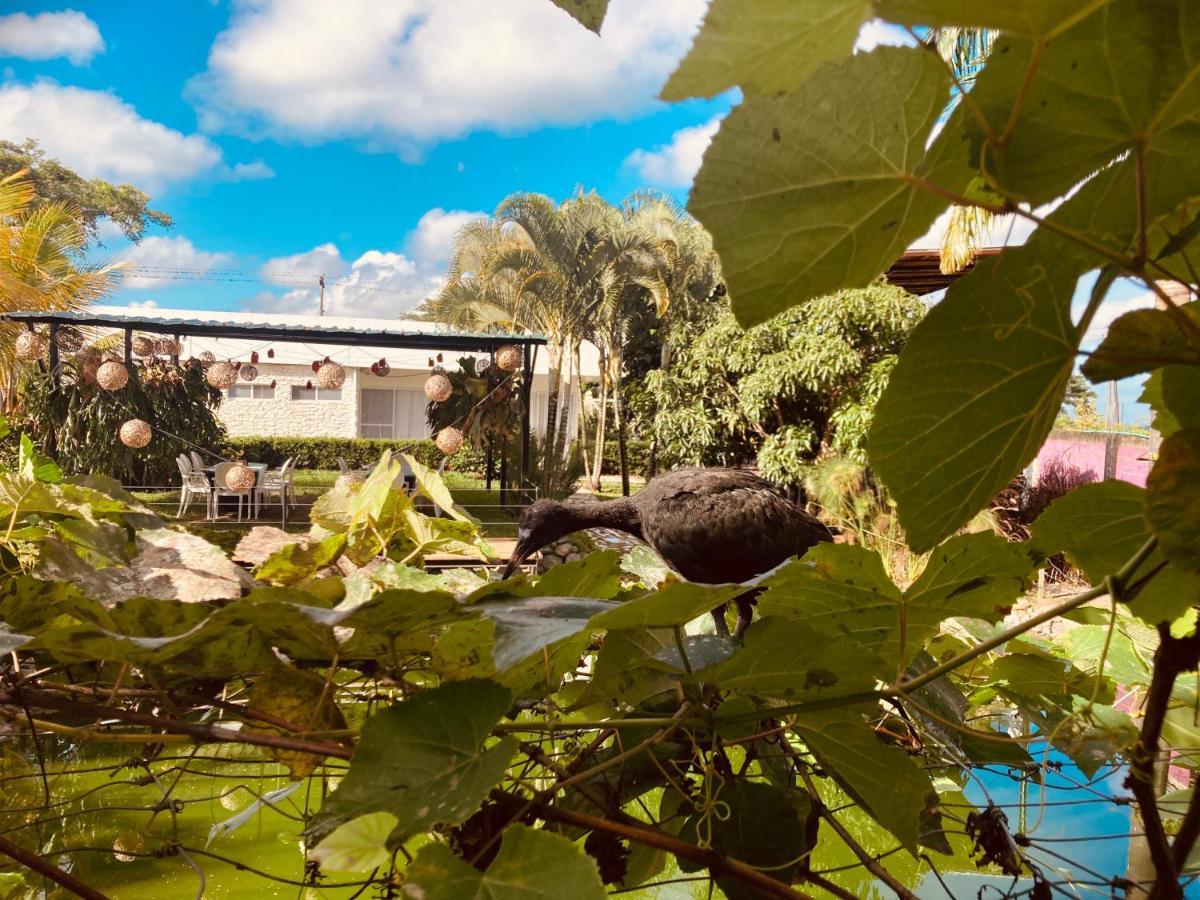Santa Elena  Villa Cristal מראה חיצוני תמונה